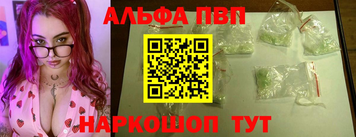 Alfa_PVP СК КРИС Прокопьевск