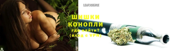 PSILOCYBIN Покачи