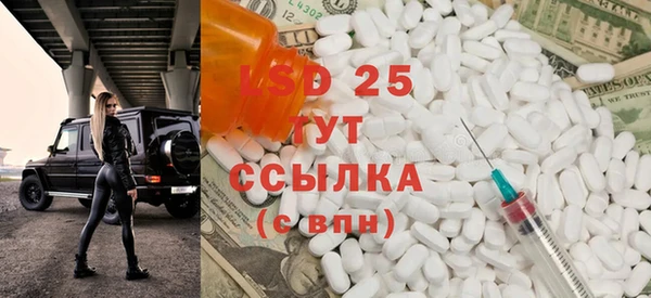 PSILOCYBIN Покачи