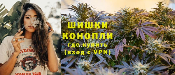PSILOCYBIN Покачи