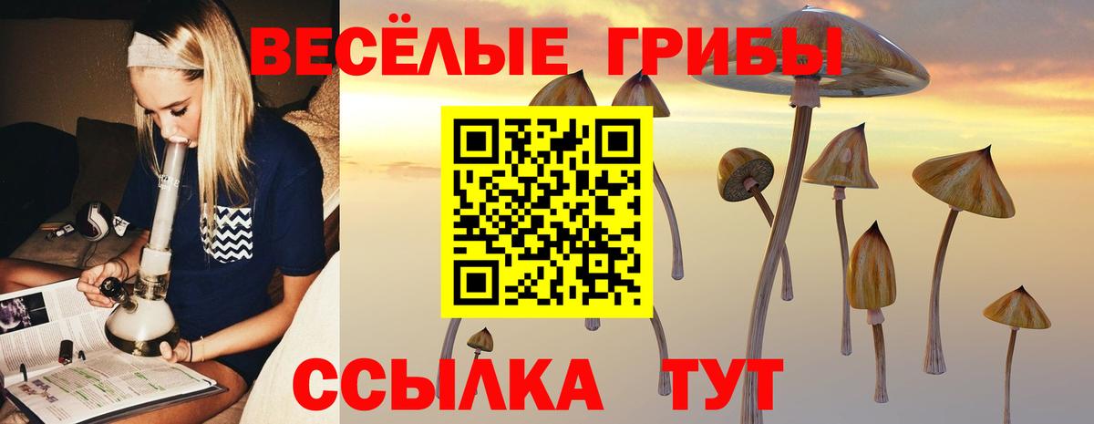 Псилоцибиновые грибы Magic Shrooms  Вход с VPN  Прокопьевск 