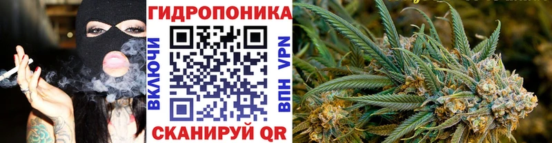 где можно купить   KRAKEN   Конопля VHQ  Прокопьевск 